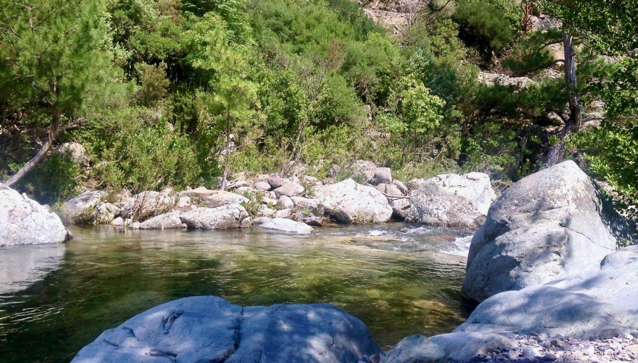 Appartement Pietranera Proche De La A 2km De Bastia Ville-di-Pietrabugno